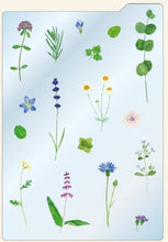 Load image into Gallery viewer, B6 Underlayment Plants and Flowers/Herbs: 4510180911479