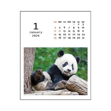 Load image into Gallery viewer, Desktop Panda Kindergarten Greeting Life: 4515968339872