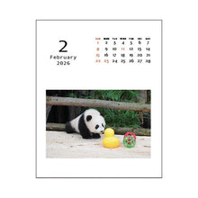 Load image into Gallery viewer, Desktop Panda Kindergarten Greeting Life: 4515968339872