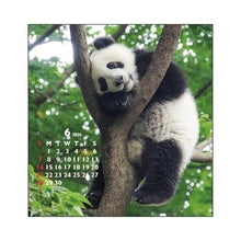 Load image into Gallery viewer, Desktop FD Panda Greeting Life: 4515968339919