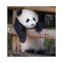 Load image into Gallery viewer, Desktop FD Panda Greeting Life: 4515968339919