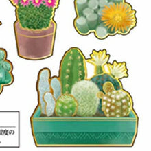 画像をギャラリービューアに読み込む, CRUX クラックス シール ・ 大人の図鑑シール 多肉植物 シール帳 福袋 丸 おしゃれ アルバム デコレーション ハート 大量 ステッカー スマホ ごほうび 花 かわいい スケジュール帳 手帳のタイムキーパー :4550432047662