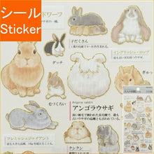 画像をギャラリービューアに読み込む, KAMIO JAPAN カミオジャパン シール ・ 大人の図鑑シール ウサギ 兎 動物 アニマル うさぎ シール帳 福袋 丸 おしゃれ アルバム デコレーション ハート 大量 ステッカー スマホ ごほうび 花 かわいい スケジュール帳 手帳のタイムキーパー :4550432113558