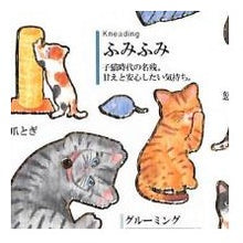 画像をギャラリービューアに読み込む, #大人の図鑑 #PM 大人の図鑑シール 猫の気持ち 猫 シール ステッカー 図鑑風 かわいい 猫あるある 黒猫 茶トラ カミオジャパン(Kamiojapan) --- カミオジャパン 大人の図鑑シール 猫の気持ち 226318 : adult picture bo : adult picture book PM Adult Pi :4550432263185
