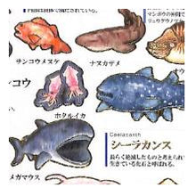 画像をギャラリービューアに読み込む, #大人の図鑑 #PM 大人の図鑑シール 深海魚 海の生き物 おもしろ文具 リュウグウノツカイ ダイオウイカ メンダコ カミオジャパン(Kamiojapan) --- カミオジャパン シール 大人の図鑑シール 深海魚 226334 : adult picture b : adult picture book PM Adult Pi :4550432263345