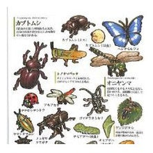 画像をギャラリービューアに読み込む, #大人の図鑑 #PM大人の図鑑シール/昆虫 自由研究 生き物図鑑 カブトムシ クワガタ ヘラクレスオオカブト カミオジャパン(Kamiojapan) --- カミオジャパン シール 大人の図鑑シール 昆虫 226346 : adult picture book P : adult picture book PM Adult Pi :4550432263468