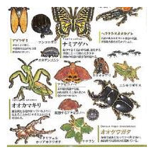 画像をギャラリービューアに読み込む, #大人の図鑑 #PM大人の図鑑シール/昆虫 自由研究 生き物図鑑 カブトムシ クワガタ ヘラクレスオオカブト カミオジャパン(Kamiojapan) --- カミオジャパン シール 大人の図鑑シール 昆虫 226346 : adult picture book P : adult picture book PM Adult Pi :4550432263468