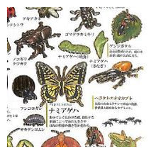 画像をギャラリービューアに読み込む, #大人の図鑑 #PM大人の図鑑シール/昆虫 自由研究 生き物図鑑 カブトムシ クワガタ ヘラクレスオオカブト カミオジャパン(Kamiojapan) --- カミオジャパン シール 大人の図鑑シール 昆虫 226346 : adult picture book P : adult picture book PM Adult Pi :4550432263468