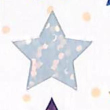 Load image into Gallery viewer, RCM58STAR3C S&C S&C :4562295509072