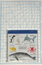 画像をギャラリービューアに読み込む, GREENFLASH グリーンフラッシュ 文房具 ・ メモパッド・スクエア海洋生物学 ふせん 吹き出し おもしろ かわいい ポストイット スケジュール帳 手帳のタイムキーパー 海 :4562482818154