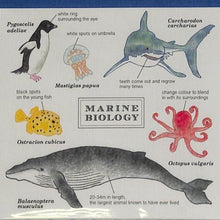 Load image into Gallery viewer, メモパッド・スクエア海洋生物学