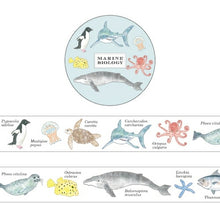 画像をギャラリービューアに読み込む, GREENFLASH グリーンフラッシュ シール ・ STUDY HOLIC マスキングテープ 海洋生物学 シール帳 福袋 丸 おしゃれ アルバム デコレーション ハート 大量 ステッカー スマホ ごほうび 花 かわいい スケジュール帳 手帳のタイムキーパー :4562482818185