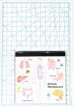 画像をギャラリービューアに読み込む, Green Flash グリーンフラッシュ ノート ・ STUDY HOLIC メモパッド スクエア 人類生物学 a5 b5 方眼 罫線 横罫 無地 付箋 メモ帳 かわいい おしゃれ 小さい リング キャラクター スケジュール帳 手帳のタイムキーパー :4570057738370
