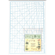 Load image into Gallery viewer, #クリアカバー付箋(植物学) --- : Clear cover sticky notes (botany) :4570057738530