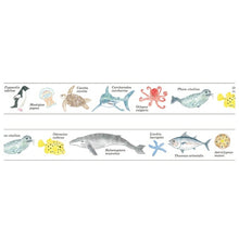 画像をギャラリービューアに読み込む, Green Flash グリーンフラッシュ シール ・ STUDY HOLIC マスキングテープ 海洋生物学 シール帳 福袋 丸 おしゃれ アルバム デコレーション ハート 大量 ステッカー スマホ ごほうび 花 かわいい スケジュール帳 手帳のタイムキーパー :4570057738639