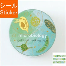 画像をギャラリービューアに読み込む, Green Flash グリーンフラッシュ シール ・ STUDY HOLIC 金箔マスキングテープ 微生物学 シール帳 福袋 丸 おしゃれ アルバム デコレーション ハート 大量 ステッカー スマホ ごほうび 花 かわいい スケジュール帳 手帳のタイムキーパー :4570057738745