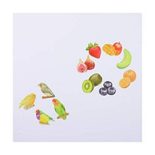 Load image into Gallery viewer, ・ 西川コミュニケーションズ株式会社 シール ・ BANDEマスキングロールステッカー Birds&Fruits シール帳 福袋 丸 おしゃれ アルバム デコレーション ハート 大量 ステッカー スマホ ごほうび 花 かわいい スケジュール帳 手帳のタイムキーパー :4573449103008