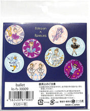 画像をギャラリービューアに読み込む, シール堂 シールドウ シール ・ ballet シール帳 福袋 スケジュール デコ ステッカー ダイアリー 習い事 バレエ ピアノ シール スケジュール帳 手帳のタイムキーパー :4582400875083