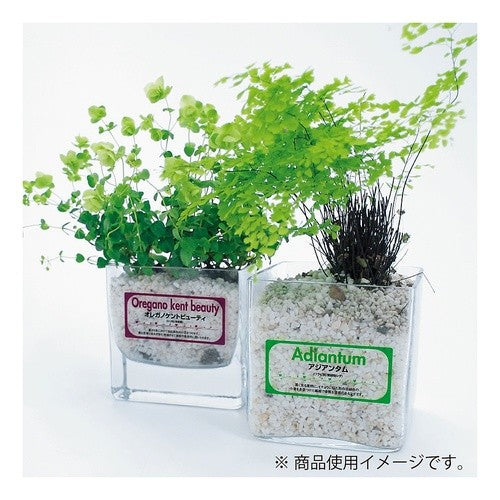 #カラーレーザー&カラーコピー用フィルム コクヨ(株) :4901480216980