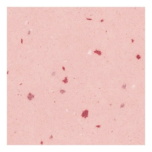 #包装紙 Bラップ 花がさね べに (株)マルアイ :4902850057608