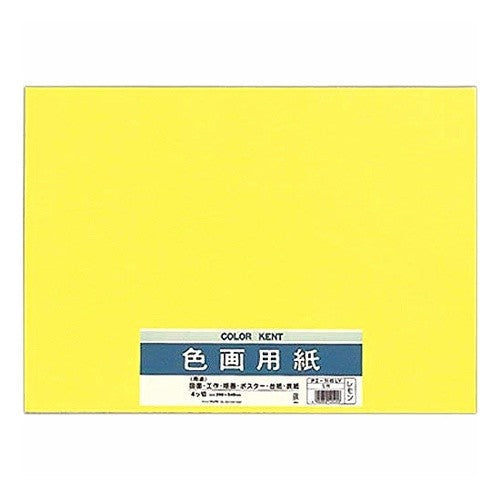 #色画用紙 N455 レモン (株)マルアイ :4902850125253