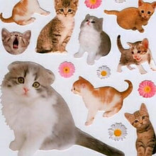 Load image into Gallery viewer, MINDWAVE マインドウェイブ シール ・ キャット3 シール帳 福袋 スケジュール デコ ステッカー ダイアリー ごほうび 花 アルファベット スケジュール帳 手帳のタイムキーパー :4909001109940