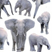Load image into Gallery viewer, MINDWAVE マインドウェイブ シール ・ ゾウ 動物 アニマル 象 スケジュール帳 手帳のタイムキーパー :4909001115736