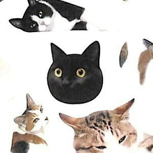 Load image into Gallery viewer, MINDWAVE マインドウェイブ シール ・ フォトシリーズシール 11685 キャット4 スケジュール帳 手帳のタイムキーパー :4909001116856