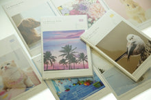 Load image into Gallery viewer, 【30%OFF・期間限定】 MINDWAVE マインドウェイブ 2020年1月始まり(2019年9月始まり) 手帳 月間式(月間ブロック) A6 マンスリー 大人かわいい おしゃれ 可愛い キャラクター 手帳カバー スケジュール帳 手帳のタイムキーパー :4909001102279