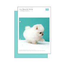 画像をギャラリービューアに読み込む, #パピーポメラニアン --- : Papi Pomeranian :4909001119642