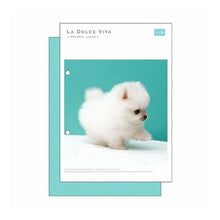 画像をギャラリービューアに読み込む, #パピーポメラニアン --- : Papi Pomeranian :4909001119642