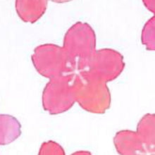 Load image into Gallery viewer, 桜ごころシリーズ 80515 さくら5 --- :4909001805156