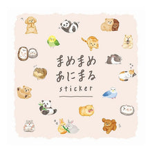 画像をギャラリービューアに読み込む, #トイプードル : マインドウェイブ : Toy poodle : 4909001809482