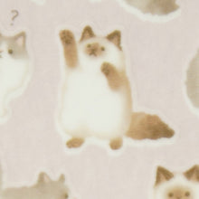 Load image into Gallery viewer, #Mame Mame Animal Sticker 81227 Ragdoll Mind Wave :4909001812277