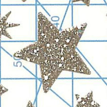 画像をギャラリービューアに読み込む, CLOTHES-PIN クローズピン シール ・ グリッターシール スター 星 シルバー 銀 シール帳 福袋 丸 おしゃれ アルバム デコレーション ハート 大量 ステッカー スマホ ごほうび 花 かわいい スケジュール帳 手帳のタイムキーパー :4920097149245