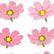 画像をギャラリービューアに読み込む, OKUYAMA 奥山 シール ・ 季節 パールシール コスモス 秋桜 横4列シール帳PA135 福袋 丸 おしゃれ アルバム デコレーション ハート 大量 ステッカー スマホ ごほうび 花 かわいい スケジュール帳 手帳のタイムキーパー :4935786171353