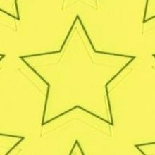 Load image into Gallery viewer, PINEBOOK パインブック シール ・ ネオンカラーモチーフシール スター 星 シール帳 福袋 丸 おしゃれ アルバム デコレーション ハート 大量 ステッカー スマホ ごほうび 花 かわいい スケジュール帳 手帳のタイムキーパー :4938325425993