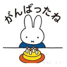 Load image into Gallery viewer, #ブルーナ #ブルーナ 浸透印 ミッフィー ガンバッタネ かわいい 子ども用 文房具 評価スタンプ (有)こどものかお :4990212018381