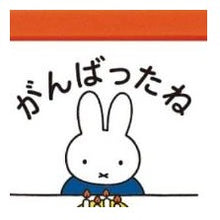Load image into Gallery viewer, #ブルーナ #ブルーナ 浸透印 ミッフィー ガンバッタネ かわいい 子ども用 文房具 評価スタンプ (有)こどものかお :4990212018381