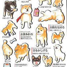 画像をギャラリービューアに読み込む, KAMIO JAPAN カミオジャパン シール ・ 大人の図鑑シール 柴犬の気持ち編 シール帳 福袋 スケジュール デコ ステッカー ダイアリー ごほうび 花 アルファベット シール シール スケジュール帳 手帳のタイムキーパー :4991277006504