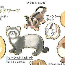 Load image into Gallery viewer, KAMIO JAPAN カミオジャパン シール ・ 大人の図鑑シール 小動物編 シール帳 福袋 丸 おしゃれ アルバム デコレーション ハート 大量 ステッカー スマホ ごほうび 花 かわいい スケジュール帳 手帳のタイムキーパー :4991277006528