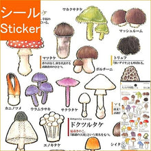 Load image into Gallery viewer, KAMIO JAPAN カミオジャパン シール ・ 大人の図鑑シール きのこ編 タマゴタケ シール帳 福袋 スケジュール デコ ステッカー ダイアリー ごほうび 花 アルファベット シール シール スケジュール帳 手帳のタイムキーパー :4991277006542
