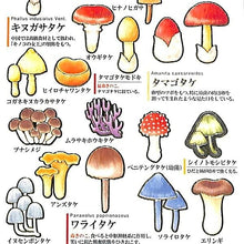 Load image into Gallery viewer, KAMIO JAPAN カミオジャパン シール ・ 大人の図鑑シール きのこ編 タマゴタケ シール帳 福袋 スケジュール デコ ステッカー ダイアリー ごほうび 花 アルファベット シール シール スケジュール帳 手帳のタイムキーパー :4991277006542