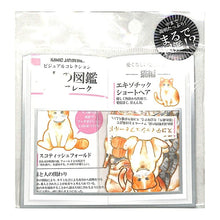 画像をギャラリービューアに読み込む, KAMIO JAPAN カミオジャパン シール ・ 大人の図鑑 シールフレーク 猫編 シール帳 福袋 丸 おしゃれ アルバム デコレーション ハート 大量 ステッカー スマホ ごほうび 花 かわいい スケジュール帳 手帳のタイムキーパー :4991277081235