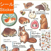 Load image into Gallery viewer, KAMIO JAPAN PM Adult Picture Book Seal Rodents Seal Book Lucky Bag Round Stylish Album Decoration Heart Large Quantity Sticker Smartphone Reward Flower Cute Schedule Book Diary Timekeeper: 4991277213858