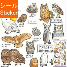 画像をギャラリービューアに読み込む, KAMIO JAPAN カミオジャパン シール ・ PM大人の図鑑シール/フクロウ シール帳 福袋 スケジュール デコ ステッカー ダイアリー 動物 アニマル キャラクター 大人の図鑑 シール スケジュール帳 手帳のタイムキーパー :4991277213865