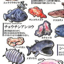 画像をギャラリービューアに読み込む, KAMIO JAPAN カミオジャパン シール ・ PM大人の図鑑シール/深海魚 シール帳 福袋 スケジュール デコ ステッカー ダイアリー 動物 アニマル キャラクター 大人の図鑑 シール スケジュール帳 手帳のタイムキーパー :4991277213872