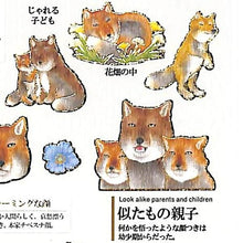 画像をギャラリービューアに読み込む, KAMIO JAPAN カミオジャパン シール ・ PM大人の図鑑シール/チベットスナギツネ シール帳 福袋 スケジュール デコ ステッカー ダイアリー 動物 アニマル キャラクター シール スケジュール帳 手帳のタイムキーパー :4991277262252