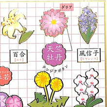 Load image into Gallery viewer, KAMIO JAPAN Kamio Japan Stickers - PM Oshiéte Nihongo Stickers / Flowers and Kanji Sticker Book Lucky Bag Round Stylish Album Decoration Heart Large Quantity Stickers Smartphone Reward Flowers Cute Schedule Book Diary Timekeeper :4991277262481