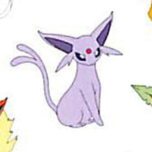 画像をギャラリービューアに読み込む, KAMIOJAPAN カミオジャパン シール ・ PMマイコレクトステッカーズ/イーブイフレンズ ポケモン ポケットモンスター シール帳 福袋 丸 おしゃれ アルバム デコレーション ハート 大量 ステッカー スマホ ごほうび 花 かわいい スケジュール帳 手帳のタイ :4991277414279
